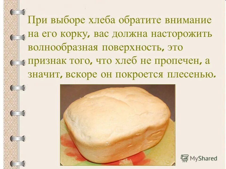 Хлеб в жизни человека. Чем полезен хлеб для человека. Хлеб бывший минус. Хлеб бывший минус. Хлеб бывший минус.