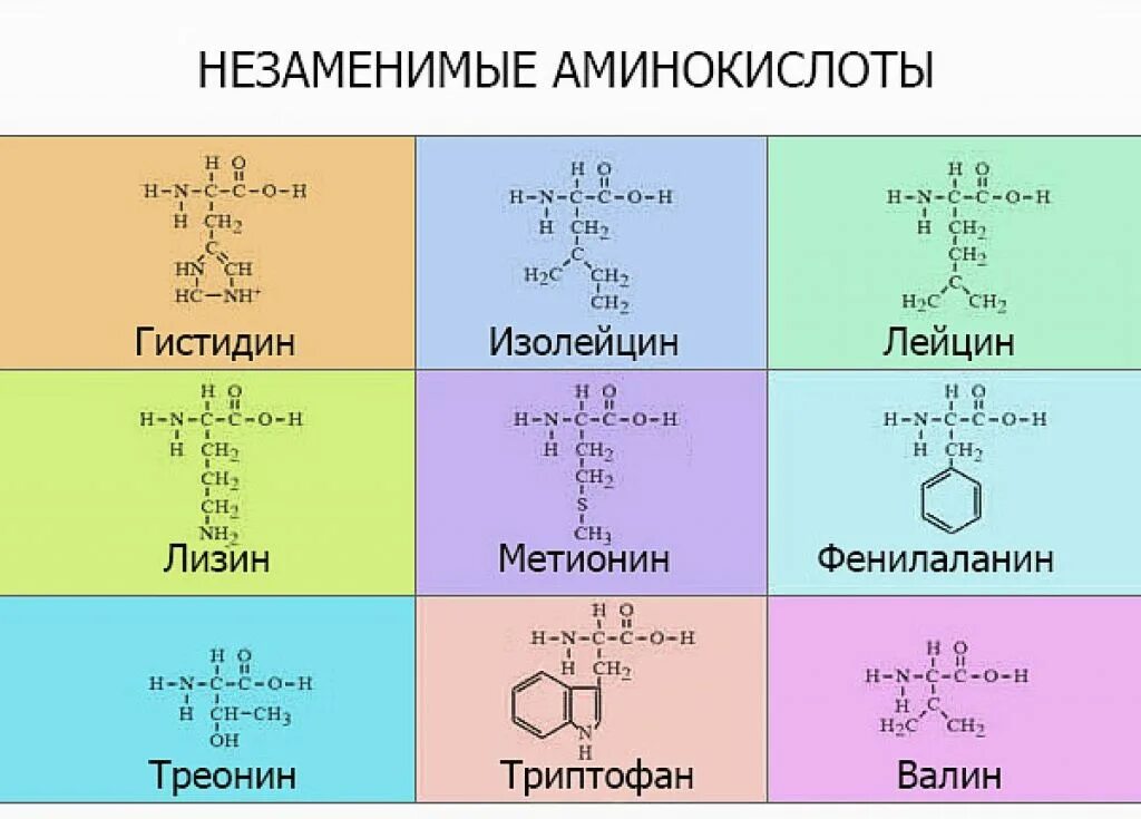 Сколько всего аминокислот. Заменимые и незаменимые аминокислоты формулы. 10 Незаменимых аминокислот формулы. Заменимые аминокислоты формулы. Незаменимые аминокислоты формулы.