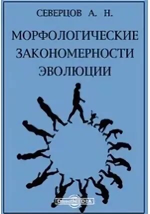 Книги морфологический