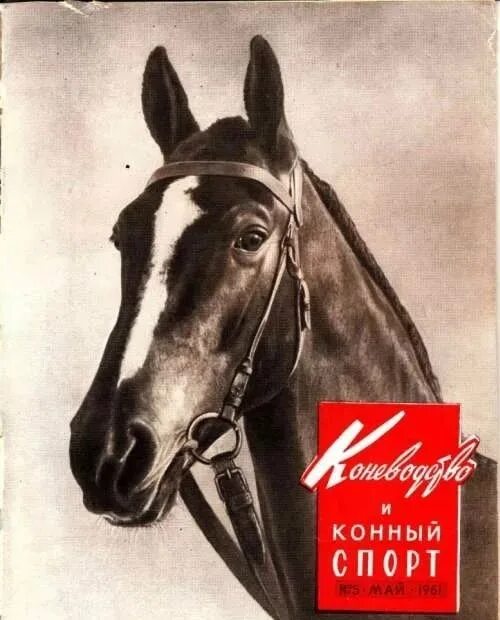 Обложки журналов с лошадьми. Журнал про лошадей. Журнал про конный спорт. Журнал про лошадей. Конный журнал.