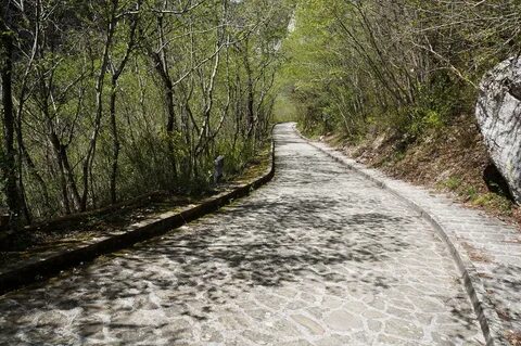 Path track