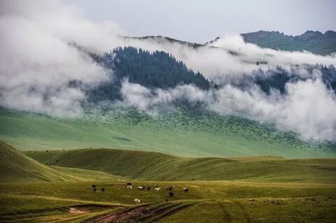 Пейзажи казахстана