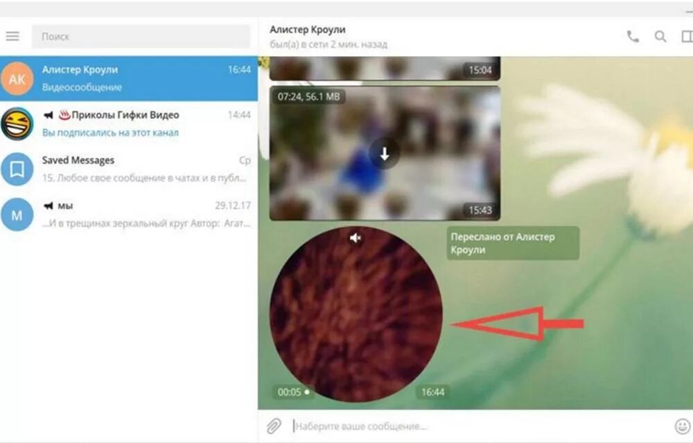 Как переслать видеосообщение. Как записать видеосообщение в телеграмме. Записывает видеосообщение телеграм. Круглое видеосообщение телеграм. Акзаписатьвидеосообщениевтелеграмменапк.