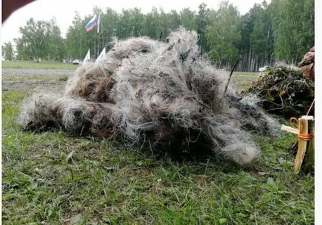 Забытый телефон забытые в сетях