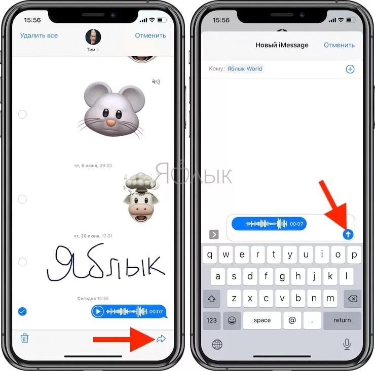 Голосовое сообщение на айфоне. Голосовое сообщение IMESSAGE. Как отправлять голосовые сообщения в IMESSAGE. Голосовое сообщение айфон. Как записать голосовое сообщение на айфоне.