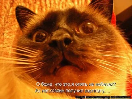 Ой кто это ой что это