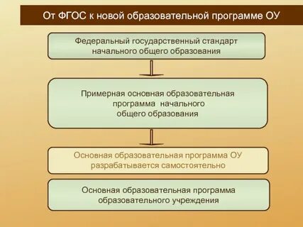 Новые образовательные программы