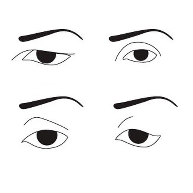 Form eyes. Формы глаз. Глаз в разрезе рисунок. Миндалевидная форма глаз рисунок. Форма века глаза рисование.