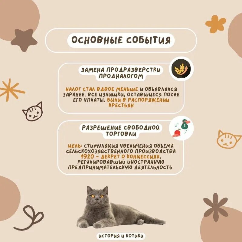 история котиков егэ