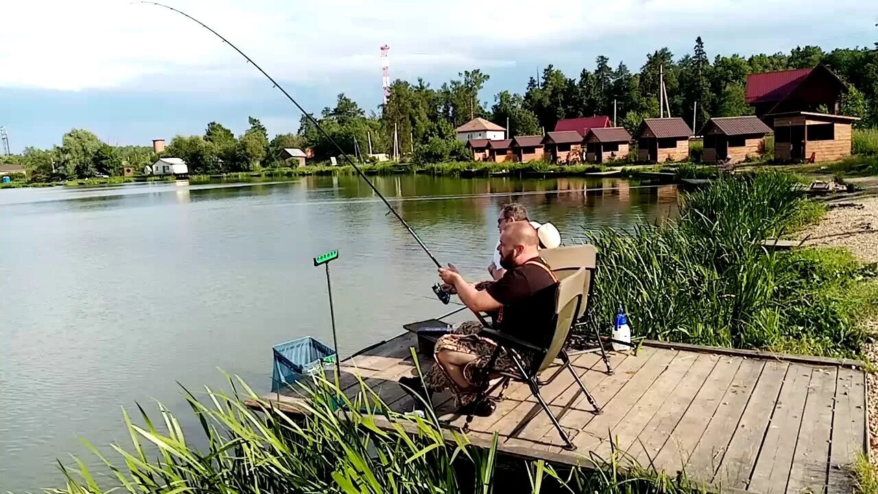 Платная рыбалка трубицино. Три пескаря Лыткино. Лыткино рыбалка три пескаря. Озеро три пескаря Лыткино. Три пескаря Ропша.