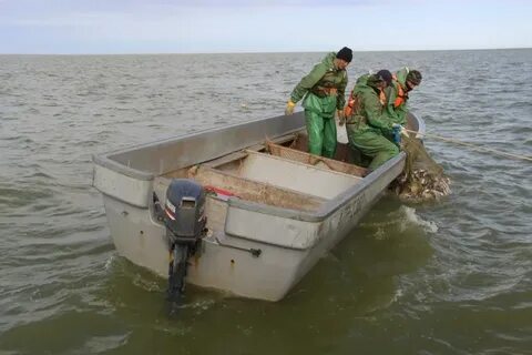 Гинекологты алдаған әйел