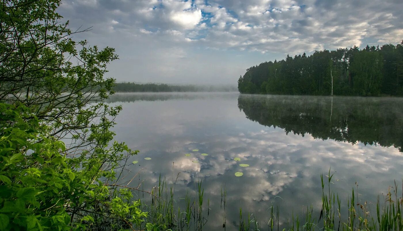 Луковое озеро Ногинск. Белое озеро Московская область. Озеро великое Шатура. Озеро великое Шатурский район. Прогноз в озерах московской области