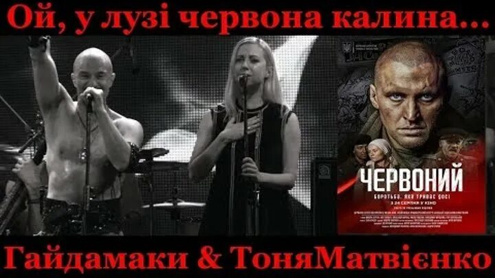 Червона рута. Песни в червонный. Песни в червонный. Песни в червонный. Песни в червонный.