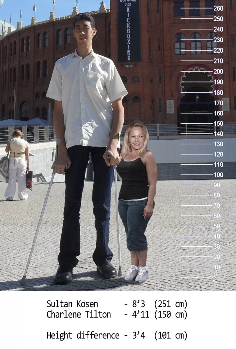 Разница ростов людей. Самый высокий парень.