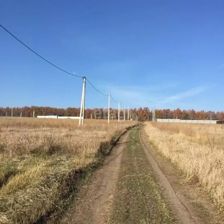 Вирьава богиня леса. Девица участки. Мы орловлогские. Девица семилукский район участок. Девица участки.
