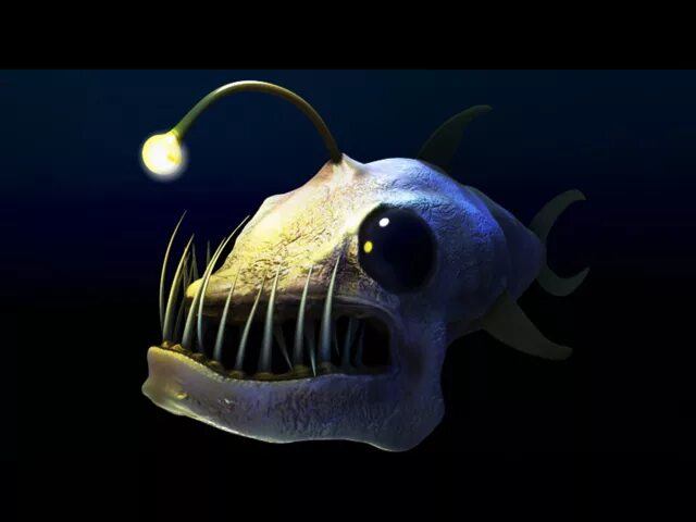 трёхзвёздный удильщик. глубоководные рыбы глубоководные рыбы. рыба удильщик. рыба удильщик светящаяся. глубоководный удильщик.