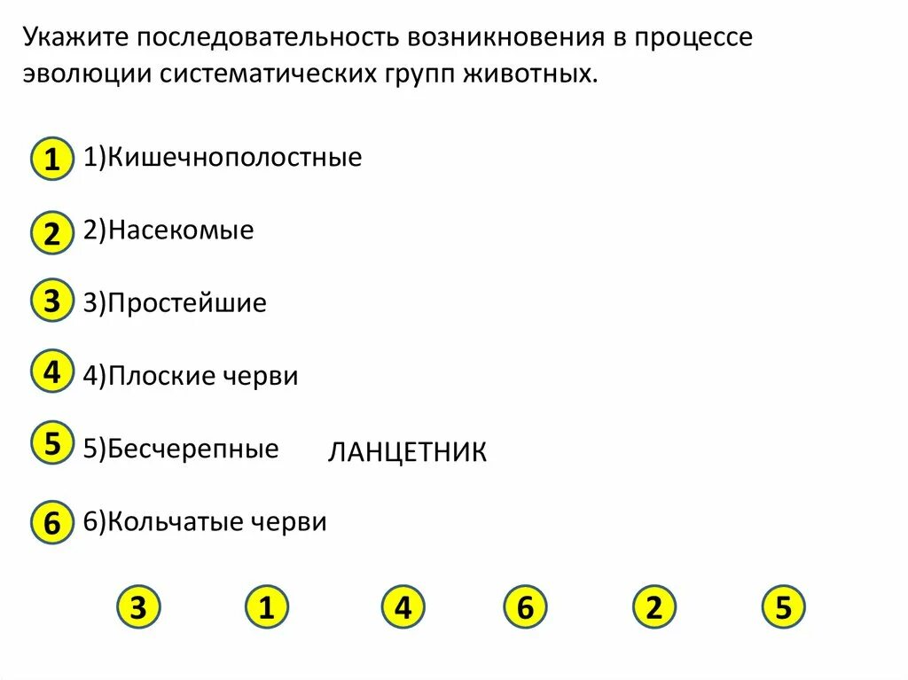 Последовательность возникновения групп животных. Последовательность эволюции групп животных. Очередность появления животных на земле. Хронологический порядок появления групп животных. Установите последовательность появления групп животных на земле