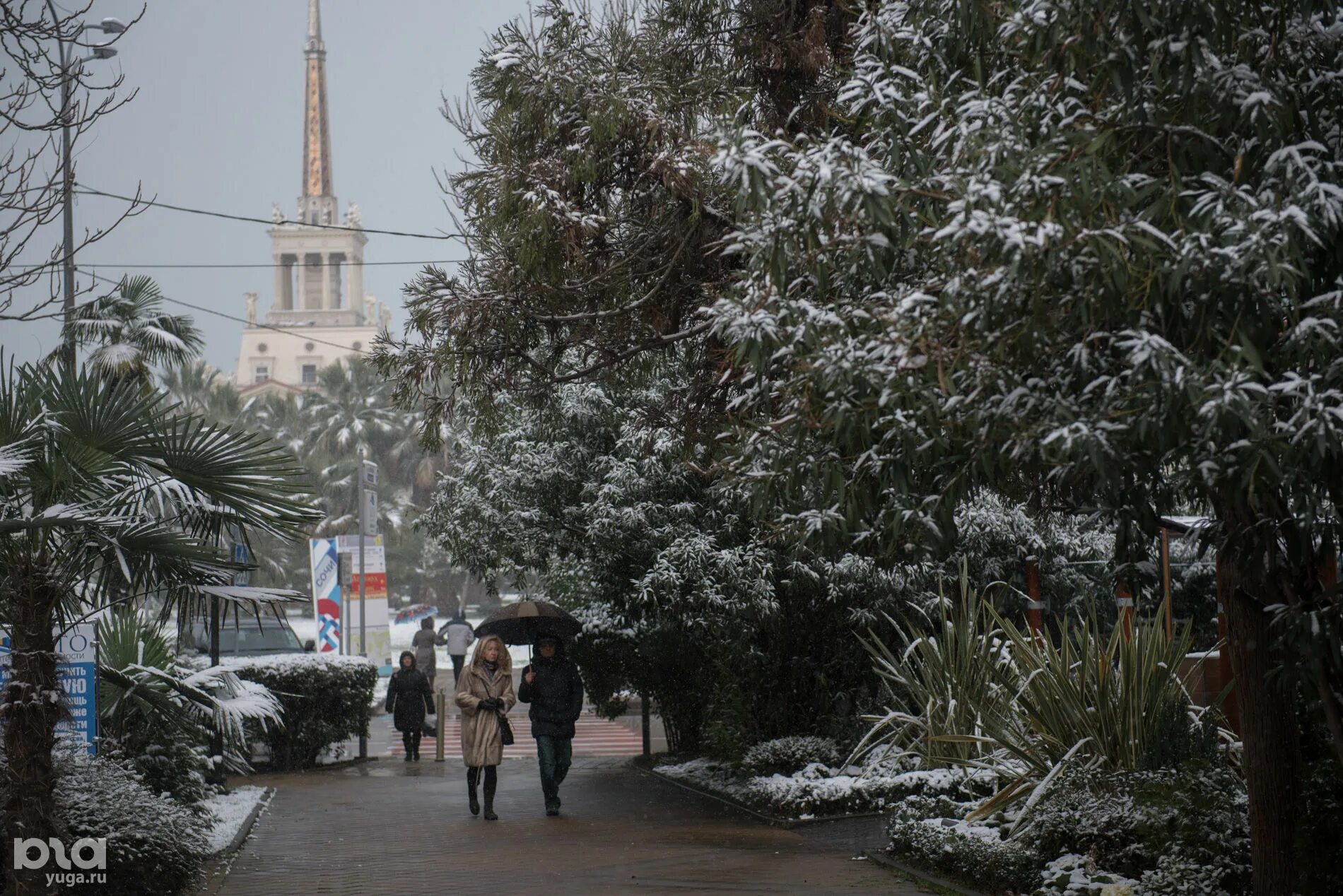 Куда пойти в сочи зимой в дождь. Куда пойти в сочи зимой в дождь. Дождь в сочи. Куда пойти в сочи зимой в дождь. Куда пойти в сочи зимой в дождь.