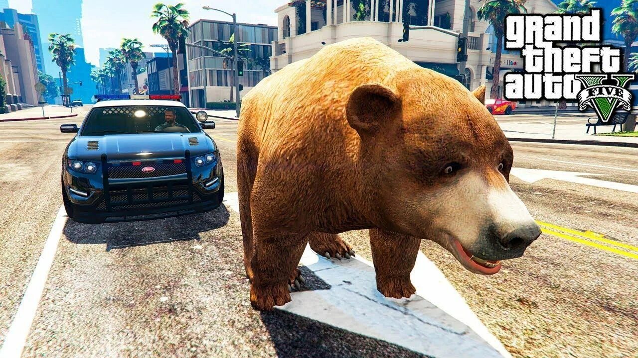 GTA 5 медведь. Мишка ГТА 5. Зоопарк в ГТА 5. Голодный медведь. Five bears