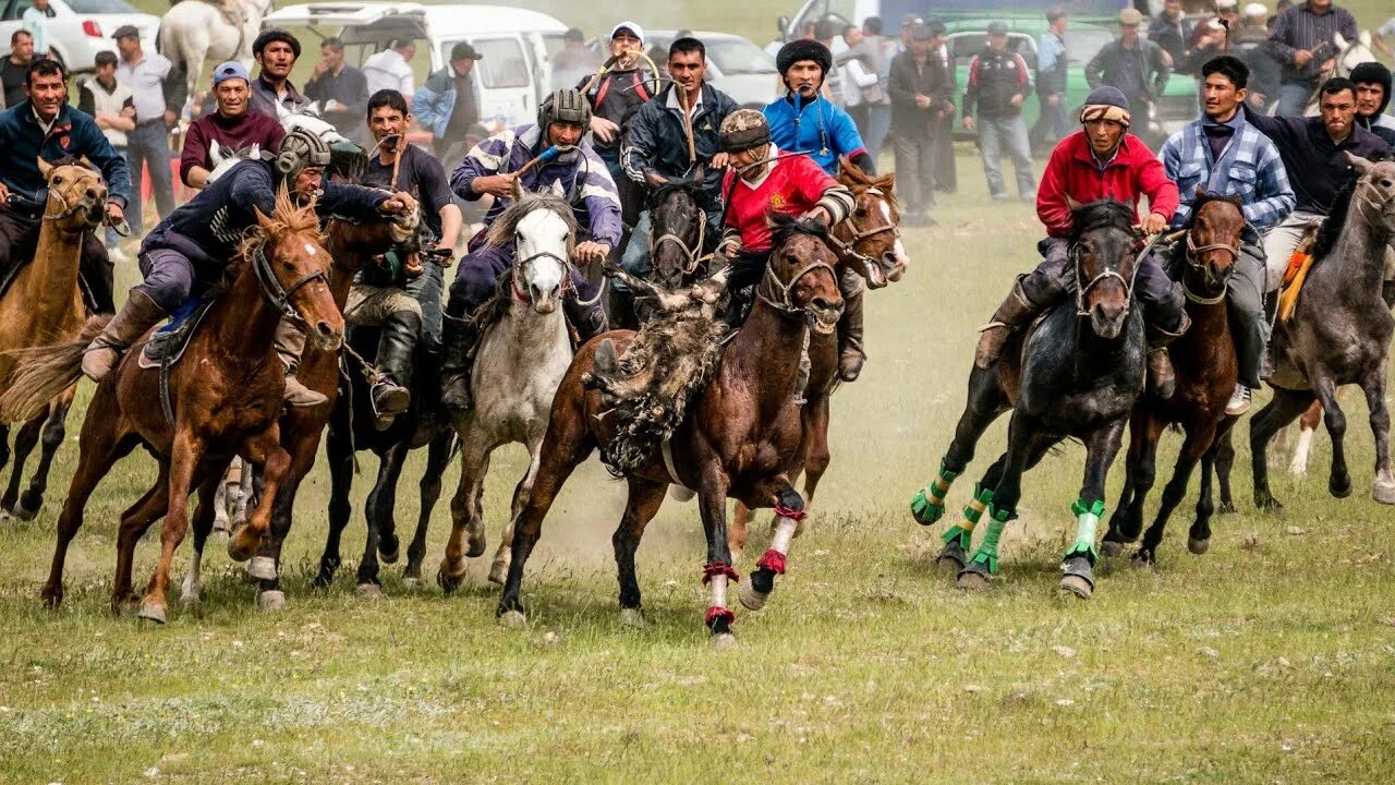 Улок купкари узбекистан. Купкари сурхандарья. Kopkari. Улок купкари. Купкари узбекистан.
