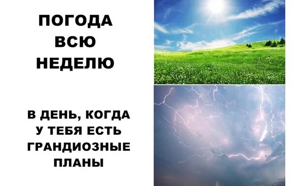 Планы у него были грандиозные прежде всего. Смешные картинки про грандиозные планы. Погода когда у меня грандиозные планы. Грандиозные планы Мем. Шутка про грандиозные планы.