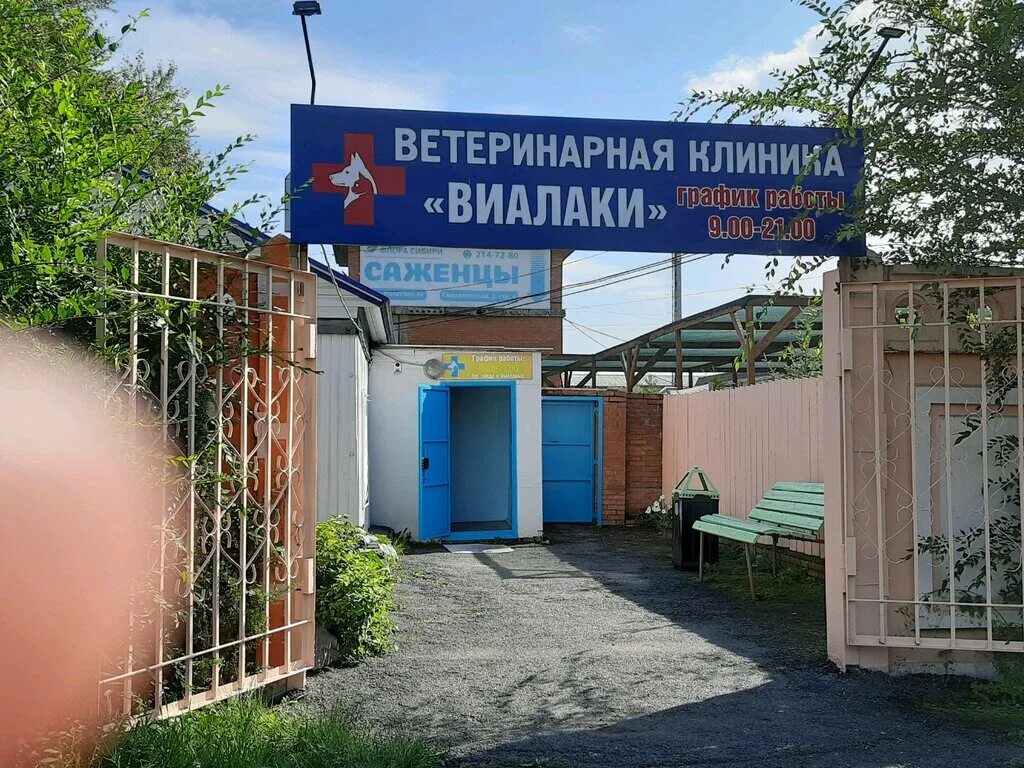 ветлечебница красноярск. пролетарская 136 ветеринарная клиника красноярск. любимец ветеринарная клиника красноярск. альфавет ветеринарная клиника. ветеринарка красноярск.