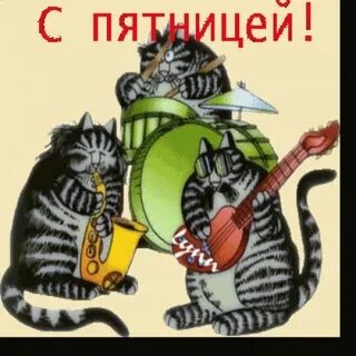 Доброе утро с пятницей с котиками