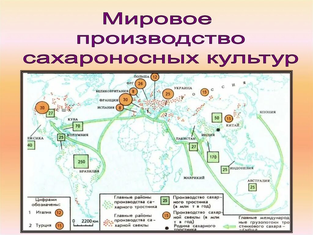 Сахарный тростник районы выращивания. Главные районы возделывания сахарного тростника. Районы производства сахарного тростника. Мировое производство.