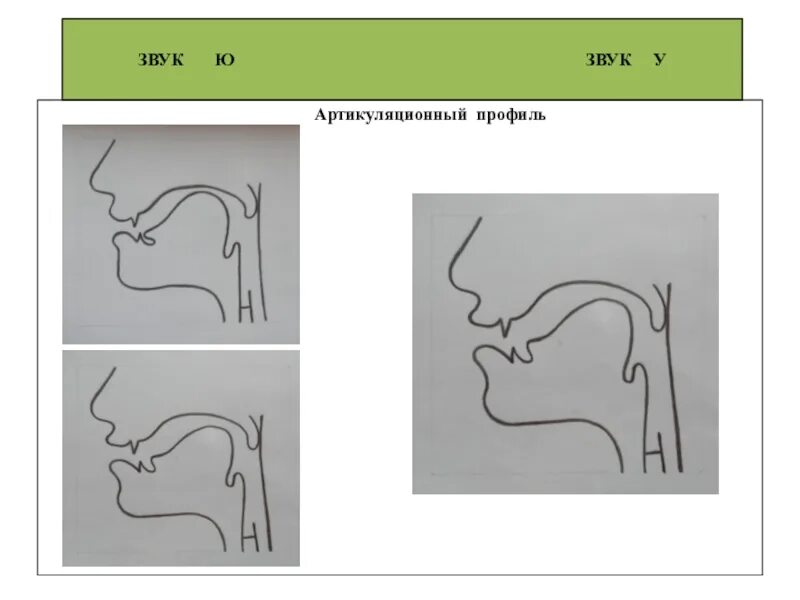 Произношение звука c. Артикуляционный профиль звука с. Профили артикуляции звуков. Артикуляционные профили гласных. Профили артикуляции гласных звуков.