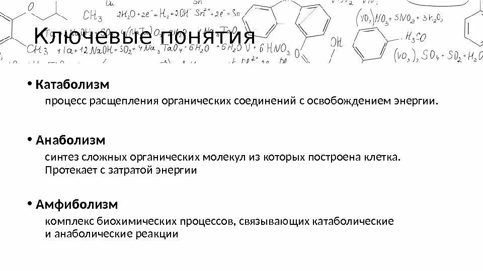 Амфиболизм. Амфиболизм микробиология. Примеры амфиболизма. Амфиболизм бактерий. Реакции с затратой энергии