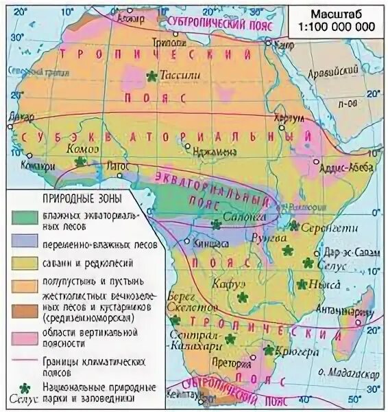 Площадь экваториальной африки. Природные зоны африки 7 класс. природные зоны африки таблица 7 класс саванны. природные зоны африки от экватора к полюсам. природные зоны африки таблица 7 класс география.