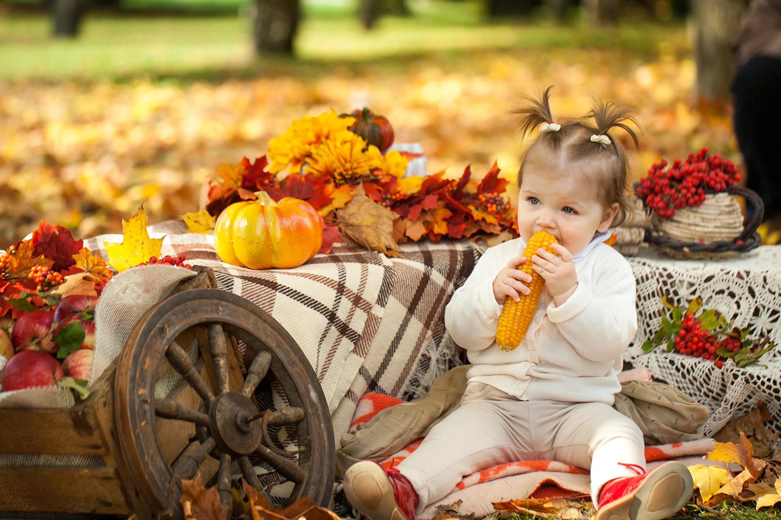 Что нужно есть осенью. Осень для детей. Осенняя фотосессия детей. Дети осенью. Осенняя фотосессия с тыквами.