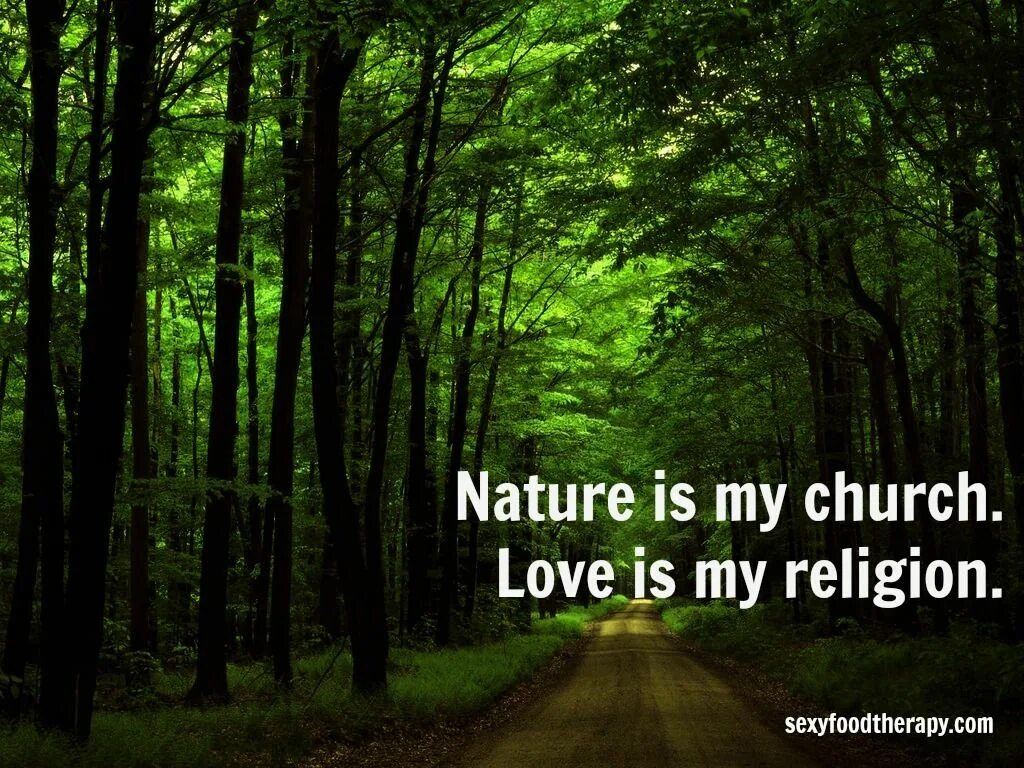 The nature is also