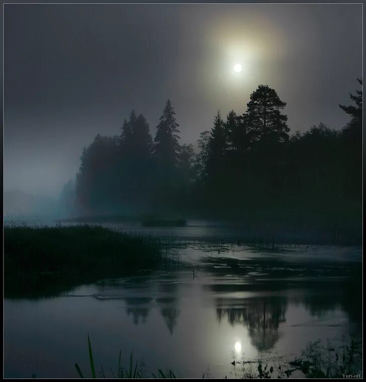 Уснуло озеро безмолвен лес Фет. Лунный пейзаж. Ночные пейзажи природы. Ночное озеро. В тихую лунную ночку выйду