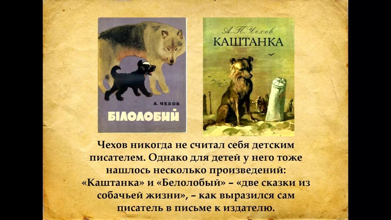 Произведение чехова пересказ. Каштанка и белолобый Чехов. Рассказ белолобый Чехов. Белолобый Чехов краткое содержание.