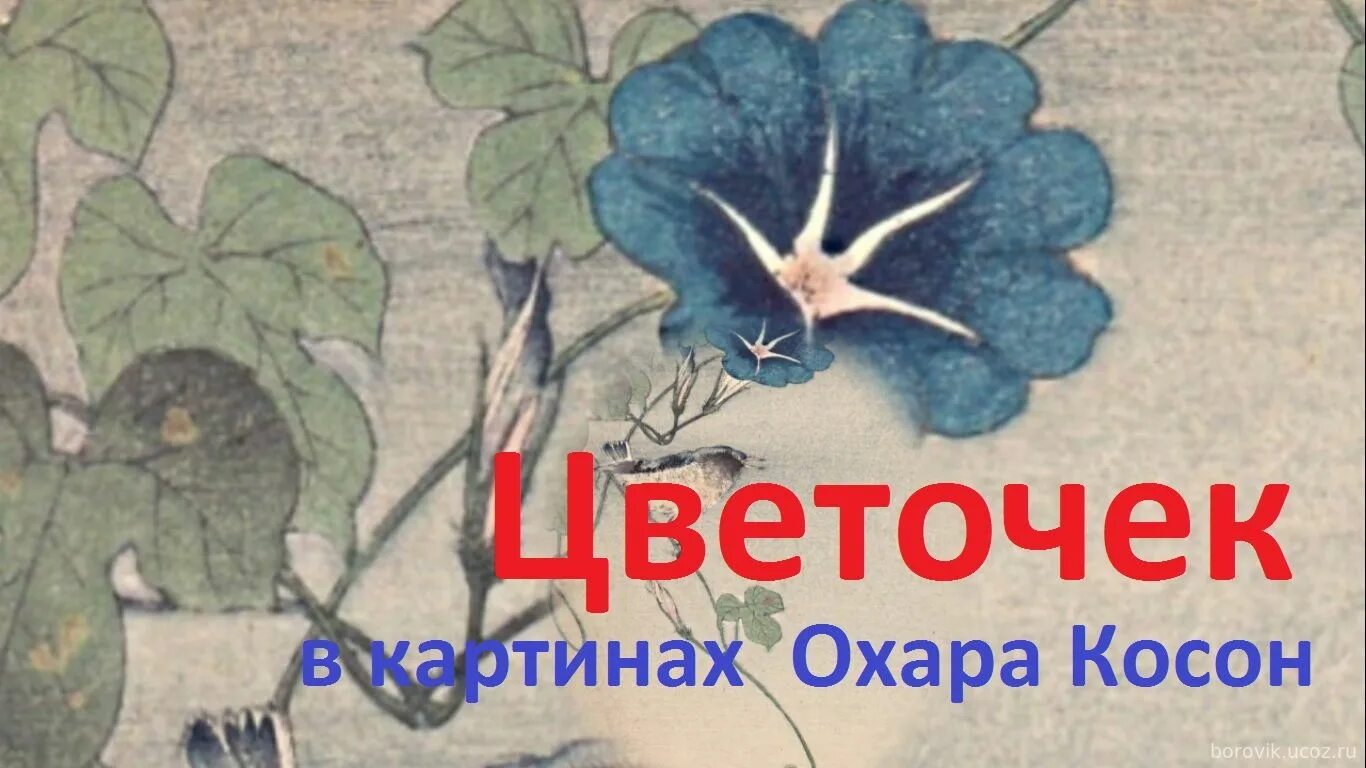 кашкадарё косон бойтерак. карши косон тумани. кашкадарё косон тумани. икеда косон картины. Pogoda koson.