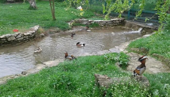 Парк живой природы натухаевская