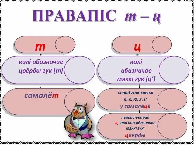 Правапіс д дз т ц