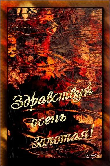 Здравствуй осень золотая. Золотая осень здравствуй осень. Здравствуй осень дорогая наша гостья дорогая. Здравствуй осень золотая здравствуй школа. Здравствуй осень золотая наша гостья.