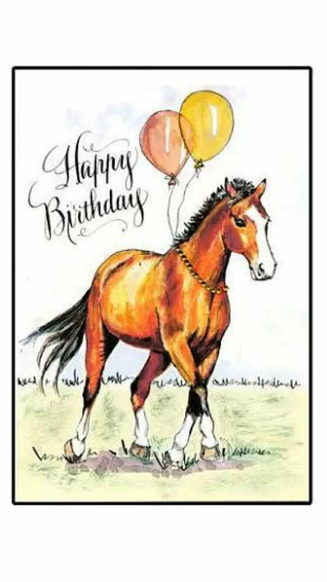 Открытка с днем рождения с лошадкой. С днём рождения с лошадью. Открытки с лошадьми с др. Открытка с днём рождения с лошадью.