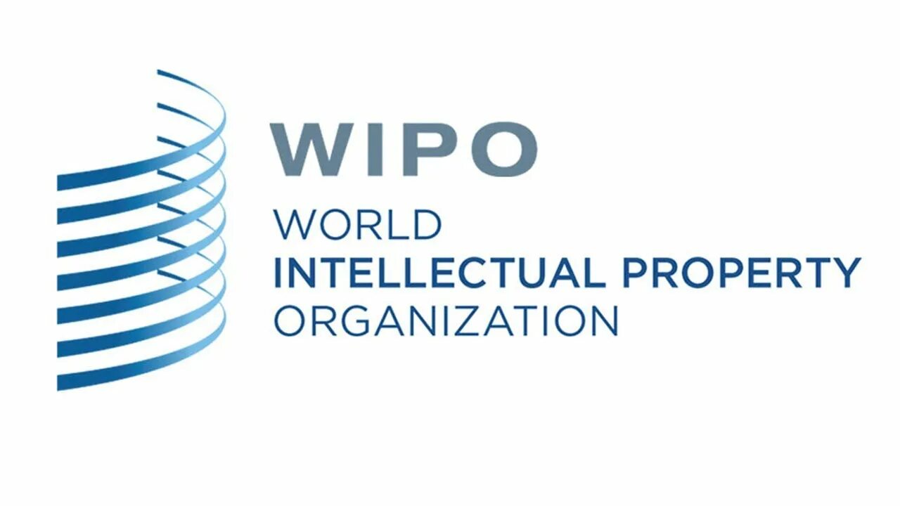 Всероссийская организация интеллектуальной. Всемирная организация интеллектуальной собственности. ВОИС логотип. WIPO World intellectual property Organization. WIPO фото.