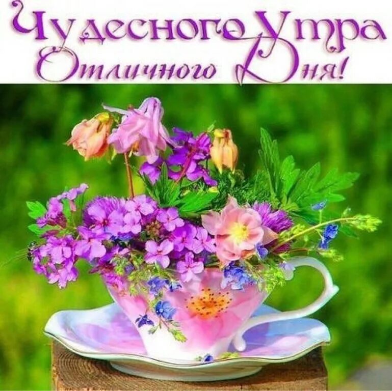 Доброе утро хорошего настроения. Доброго утра и хорошеготнастроения. Доброе утро и отличного настроения. Доброеиутро и хорошегоидня