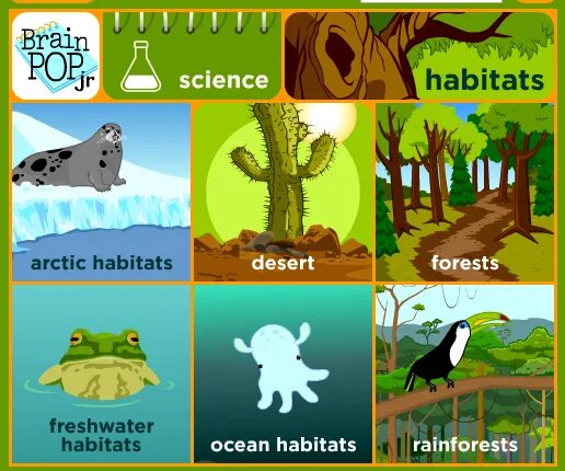 Habitat для детей на английском. Animal Habitat for Kids. Habitats Vocabulary. Habitats Flashcards.