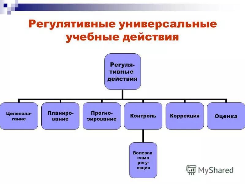 Категории современного общества