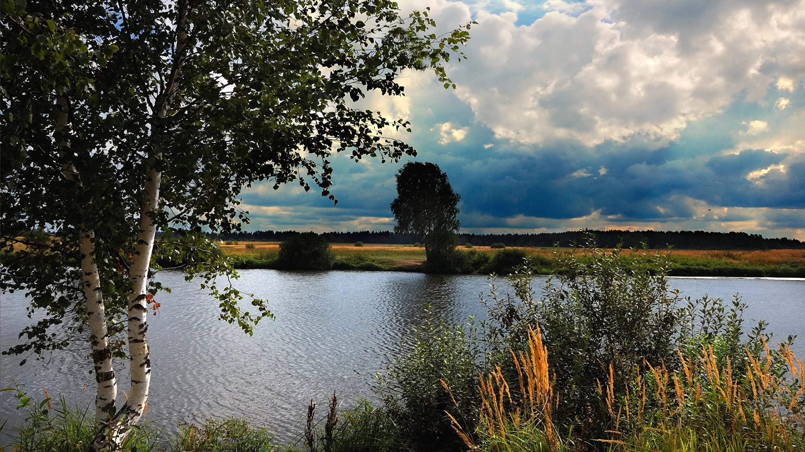 Вода родной край. Русь река береза. Россия просторы Березки реки. Русь природа Нижегородская область. Родина березы речка Россия.