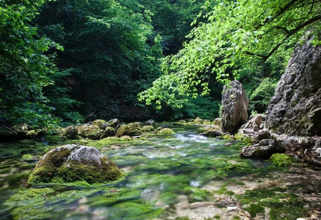 Крымские реки и озера. Речка Альма в Крыму. Река Коккозка в Крыму. Речка Коккозка Крым. Горные речки Крыма.