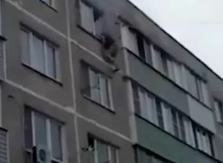 Видео из раменского