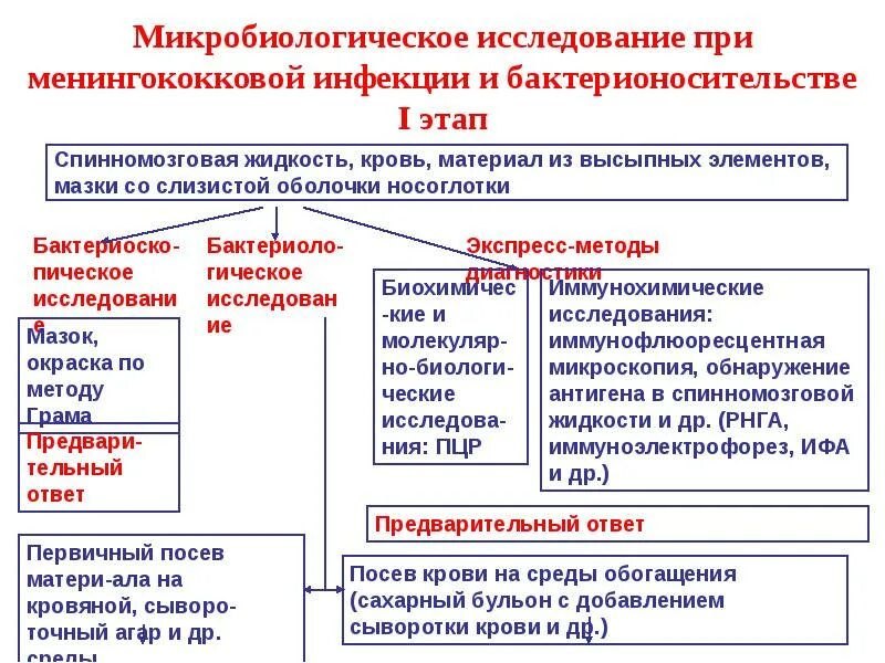 Назовите формы менингококковой инфекции. Менингококковая инфекция этиология. Менингококковая инфекция у детей раннего возраста. Методы исследования при менингококковой инфекции. Локализованные формы менингококковой инфекции.