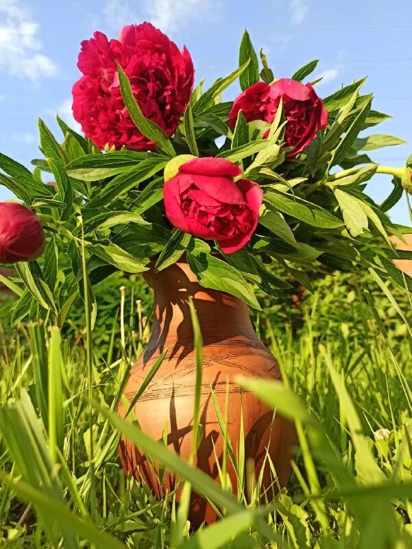 Пылесос циклон марта. Печуркина дача ютуб новое. Печуркина дача ютуб новое. Печуркина дача ютуб новое. Дача групп.