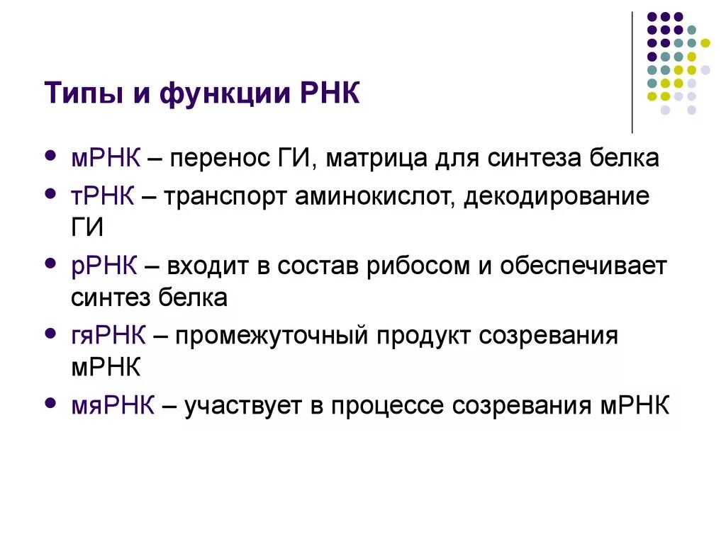 Рнк термины. Функции ИРНК ТРНК РРНК. Функции различных типов РНК. Функции всех видов РНК. М РНК функция.